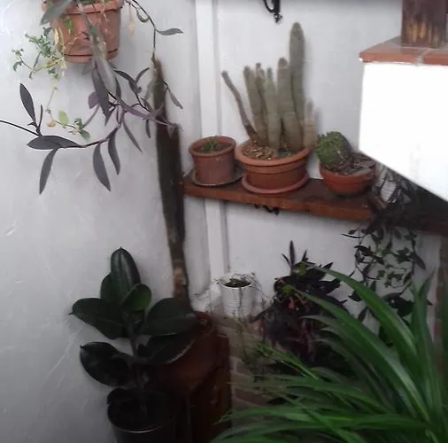 Πανδοχείο Osteria Alle Risorgive Codroipo